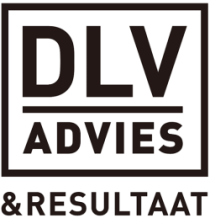 DLV Advies